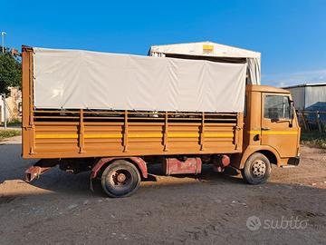 Om 50 trasporto animali vivi