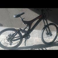 Bici Downhill Specialized