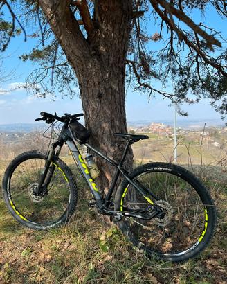 Olmo bici 29