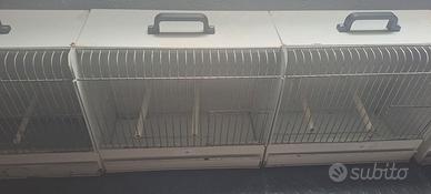 Gabbie varie per uccelli