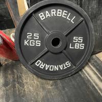 Dischi 25kg old school