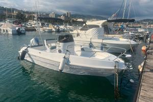 Bluline 19 + Honda BF40E