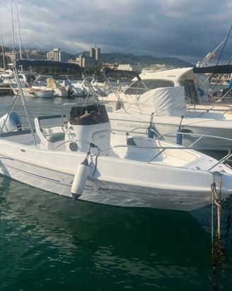 Bluline 19 + Honda BF40E