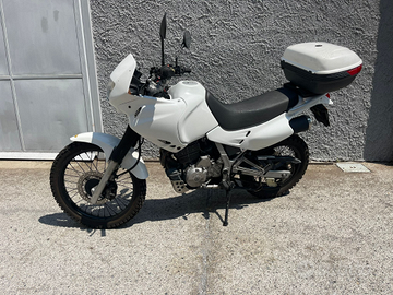 Honda Dominator 650-2000