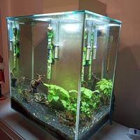 Acquario Fluval Edge 46l