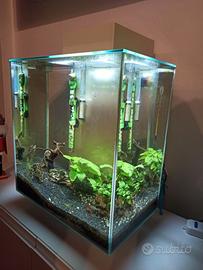 Acquario Fluval Edge 46l