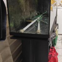 Acquario 250lt