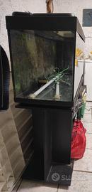 Acquario 250lt
