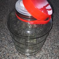 contenitore vetro 10 litri prezzo 10