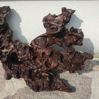 legno per  acquario 