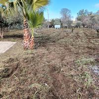 pulizia terreni con motozappa