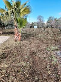 pulizia terreni con motozappa