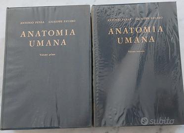 Anatomia Umana