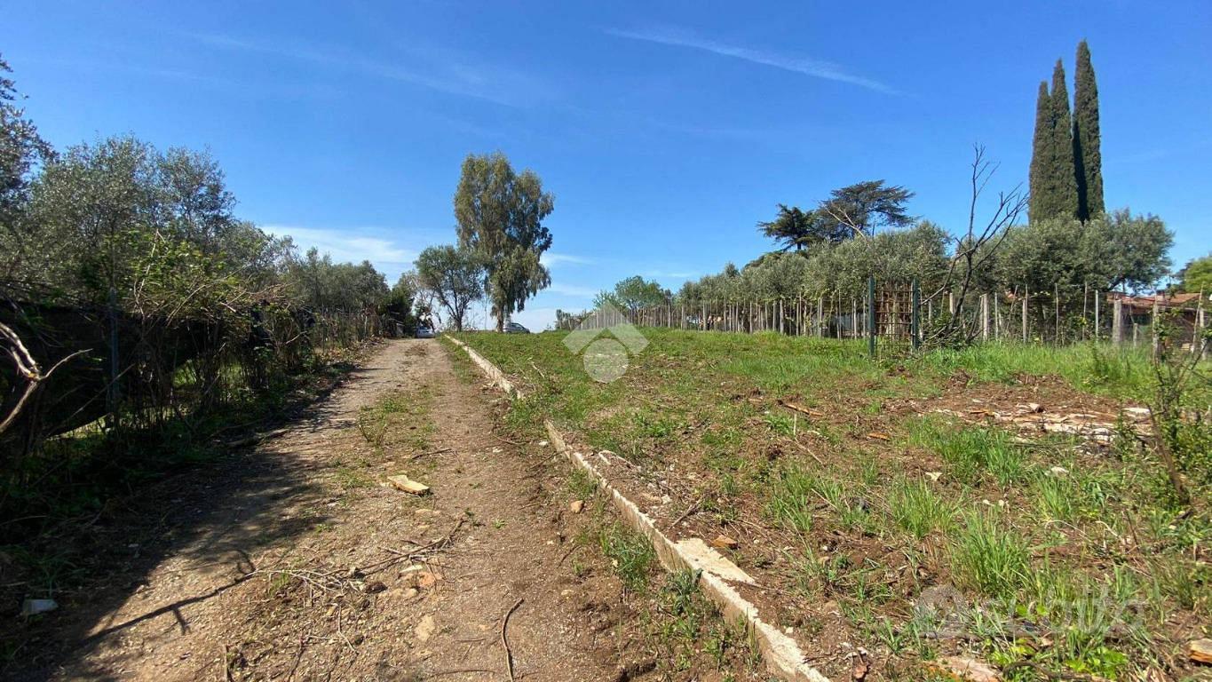 RUSTICO A ZAGAROLO - Vista 2