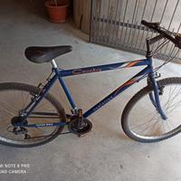Bicicletta Country Evolution mtb