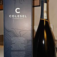 bott. Magnum (1.5 L) di Colesel Valdobbiadene