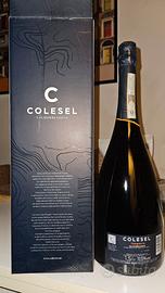 bott. Magnum (1.5 L) di Colesel Valdobbiadene