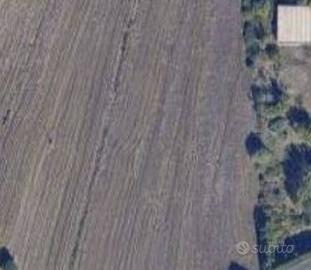 Terreno Agricolo - Casole d'Elsa