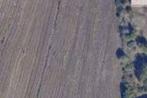 Terreno Agricolo - Casole d'Elsa