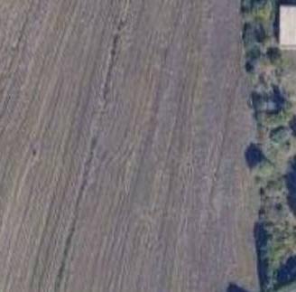 Terreno Agricolo - Casole d'Elsa