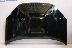 Cofano TOYOTA RAV 4 II '03