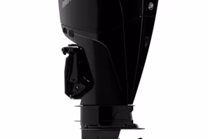 Fuoribordo Mercury 225 XL 2019
