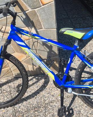 Mountain Bike bambino (10/12y)
