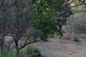 Vsp305 - san fratello, terreno di 3000 mq con