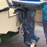 Evinrude 521 25 cv
