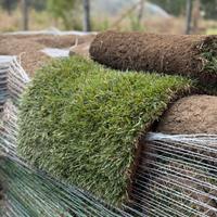 "Prato a Rotoli di Alta Qualità”