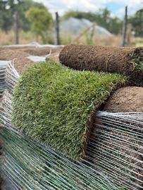 "Prato a Rotoli di Alta Qualità”