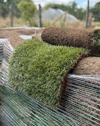 "Prato a Rotoli di Alta Qualità”