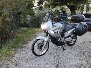 Transalp XL 650