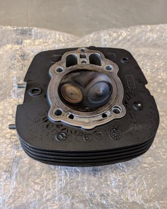 Testa destra Moto Guzzi