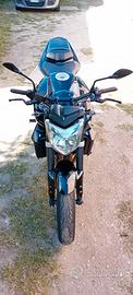 Yamaha FZ1 - 2009