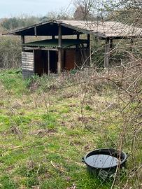 Terreno agricolo con utenze