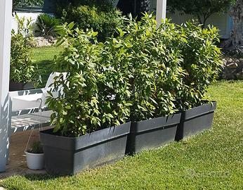 Vasi fioriera da giardino 100 cm 3 pezzi