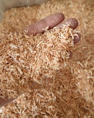 cippatino secco e vagliato per produrre pellet