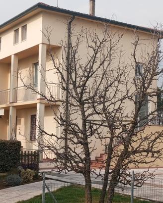 Bifamiliare sovrapposta. Montecchio Precalcino