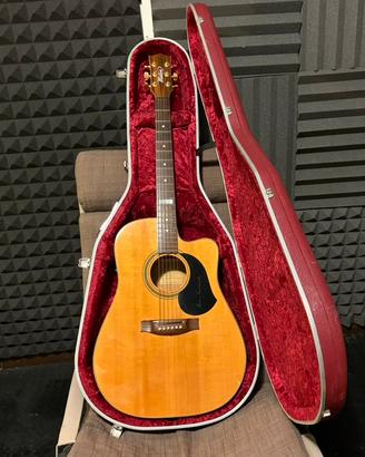 Chitarra folk