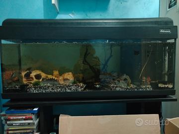 acquario completo