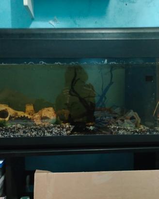 acquario completo