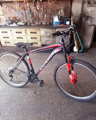 Mountain bike Esperia 27 5