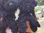 Immagine 5