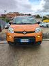 fiat-panda-1-0-firefly-s-s-hybrid-city-cross