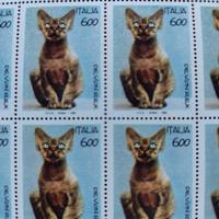 Foglio 50 Francobolli Italia 1993 Gatto Devon Rex.