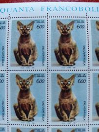 Foglio 50 Francobolli Italia 1993 Gatto Devon Rex.