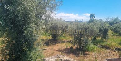 Terreno E Casa Con Acqua E luce