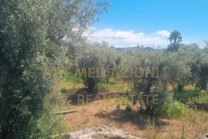 Terreno E Casa Con Acqua E luce