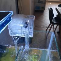 Lampada per acquario e filtro